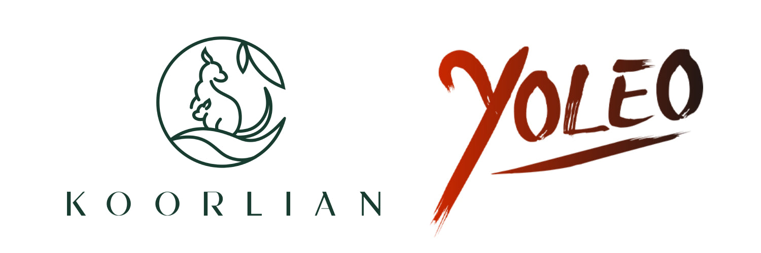 Koorlian & YOLEO Store